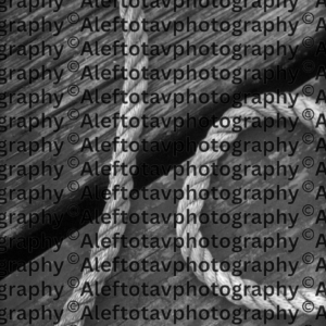 Alef Hebrew letter art nature photography - first letter Hebrew alphabet strength unity