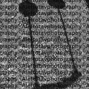 Ayin Hebrew letter art nature photography - 16th letter Hebrew alphabet eye insight