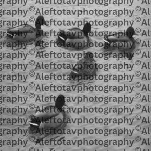 Dalet Hebrew letter art nature photography - 4th letter Hebrew alphabet doorway