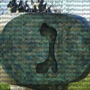 Gimel Hebrew letter art nature photography - 3rd letter Hebrew alphabet camel giving