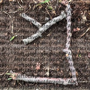 Mem Hebrew letter art nature photography - 13th letter Hebrew alphabet water wisdom