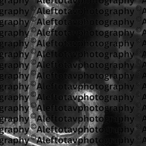 Teit Hebrew letter art nature photography - 9th letter Hebrew alphabet goodness concealed