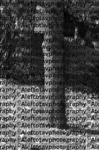 Vav Hebrew letter art nature photography - 6th letter Hebrew alphabet hook connection