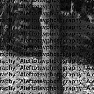 Vav Hebrew letter art nature photography - 6th letter Hebrew alphabet hook connection