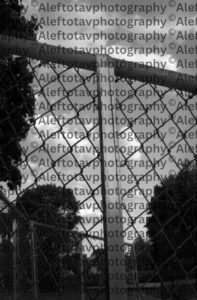 Zayin Hebrew letter art nature photography - 7th letter Hebrew alphabet weapon sustenance