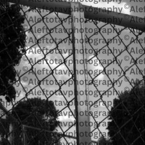 Zayin Hebrew letter art nature photography - 7th letter Hebrew alphabet weapon sustenance