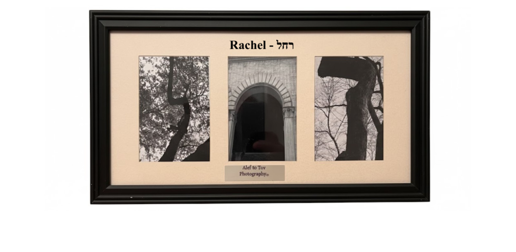 Hebrew letter photography nature - wall decor frames