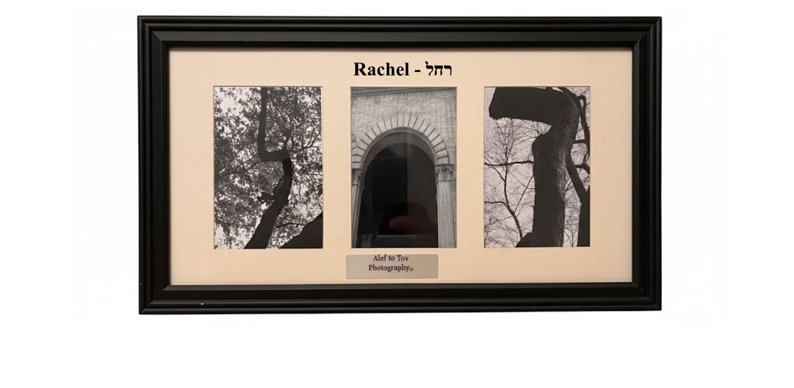 Hebrew letter photography nature - wall decor frames
