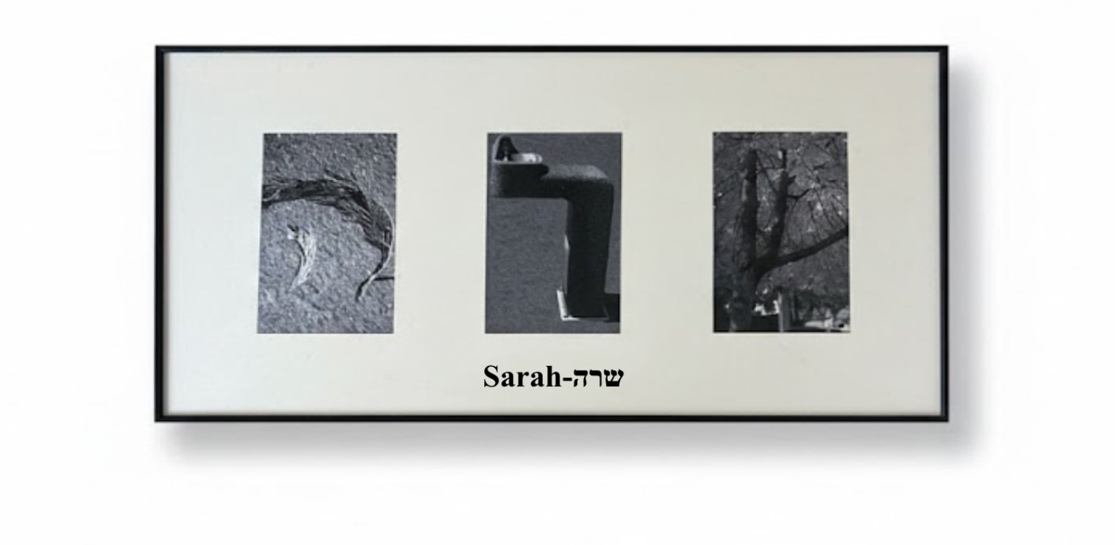 Hebrew letter photography nature - wall decor frames